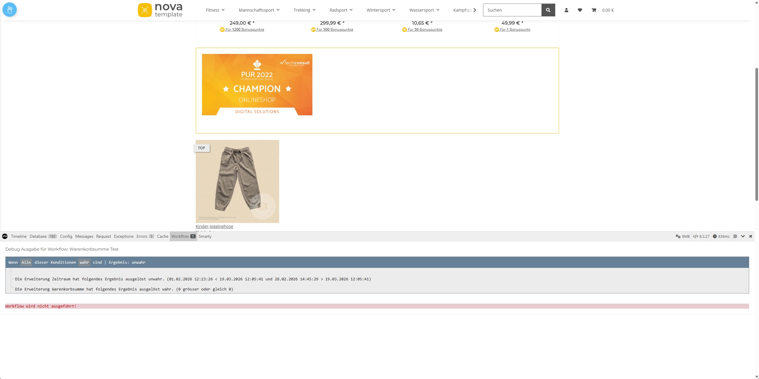 Ansicht Debug im Frontend